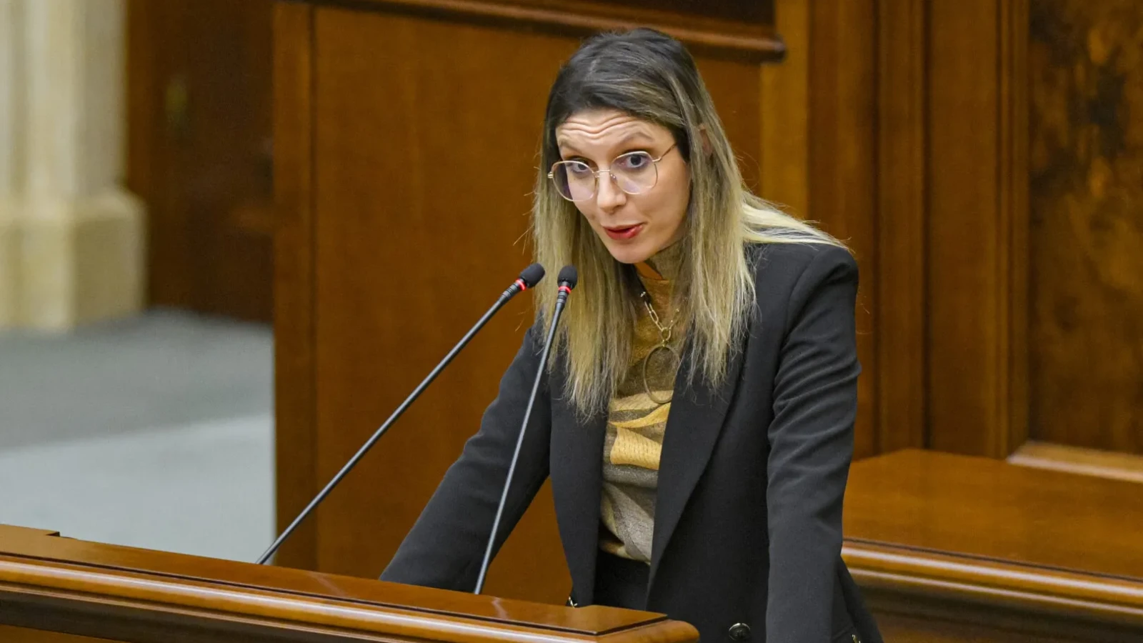 diana buzoianu critica dur documentul psd o hartie cu multe promisiuni pentru viitorul executiv