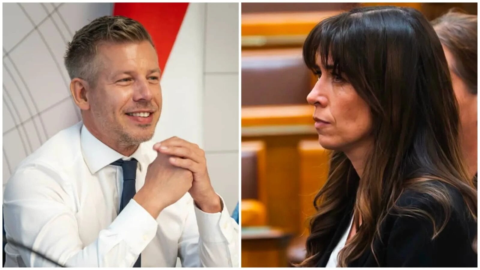 katalin tasnady desemnata sa conduca marile investigatii anticoruptie din ungaria
