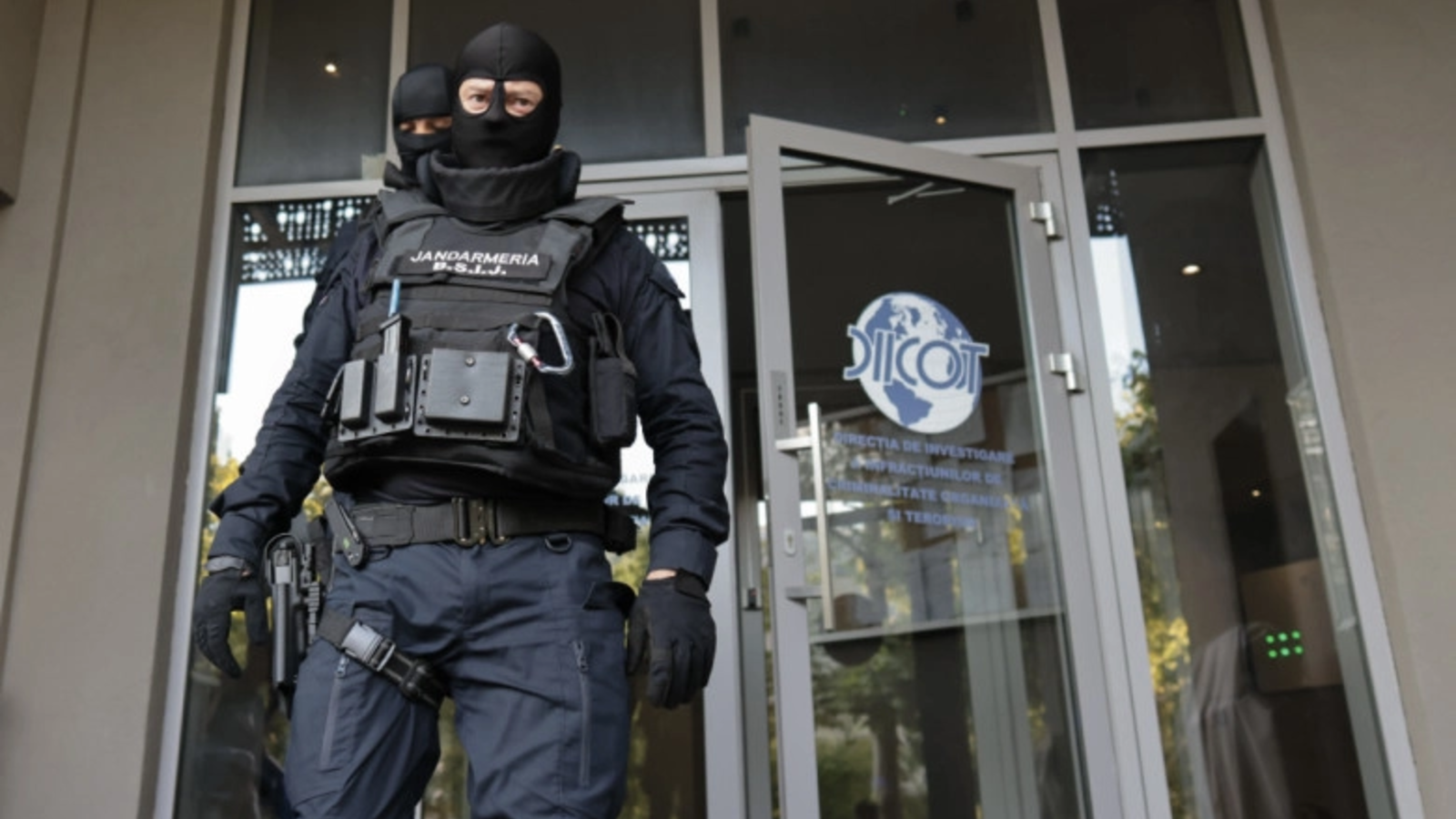 tranzitul ilicit de stupefiante destructurat de diicot firme de logistica implicate in ascunderea a 1 7 tone de canabis si cocaina